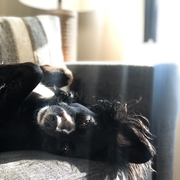 Welcome - Picture 4 of 5